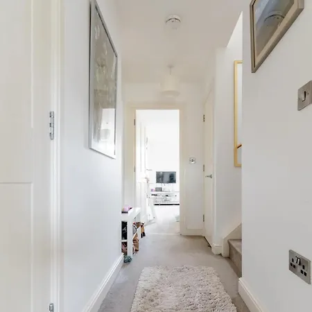 Modern With Terrace *